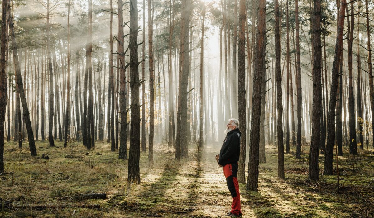 Senior man standing in sunlit autumn forest, experiencing nature's tranquility.